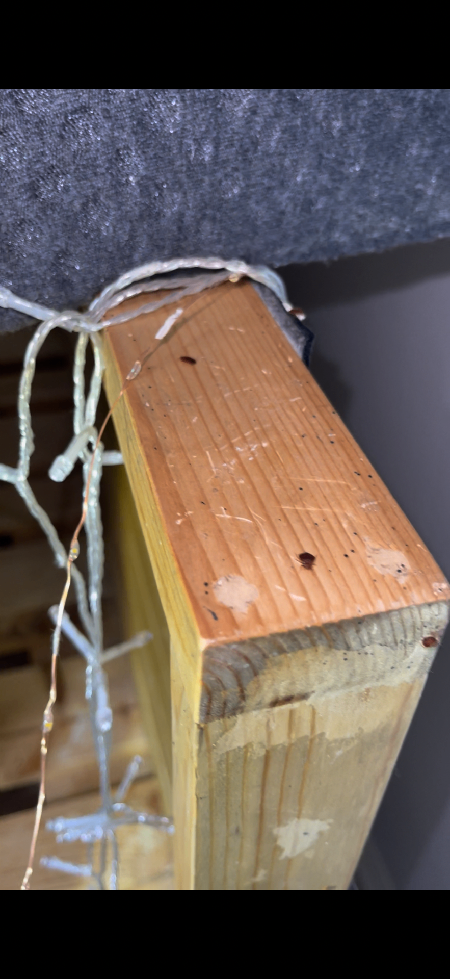 Bedbug evidence on a wooden bed frame