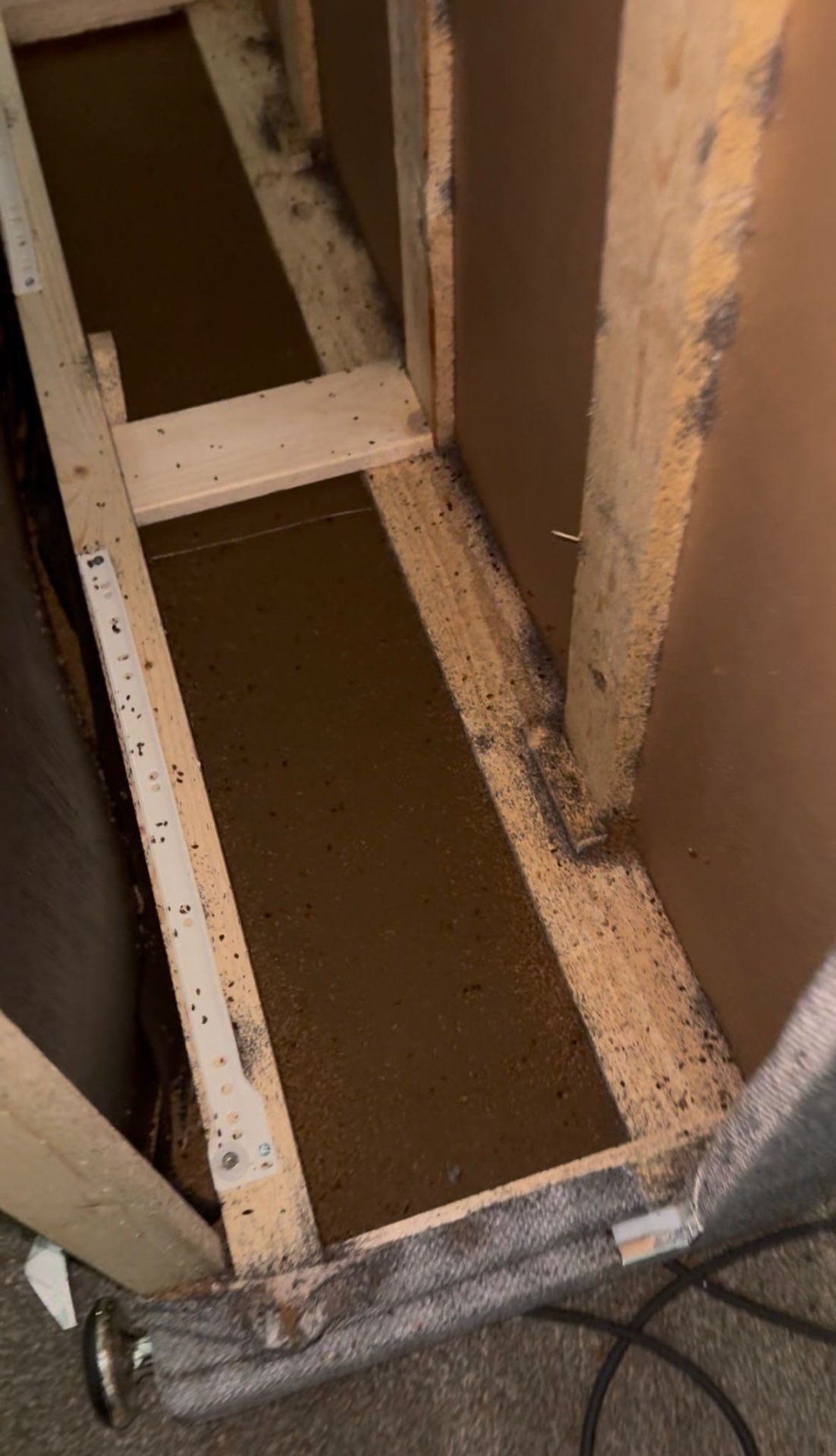 Severe bedbug infestation inside a dismantled bed base