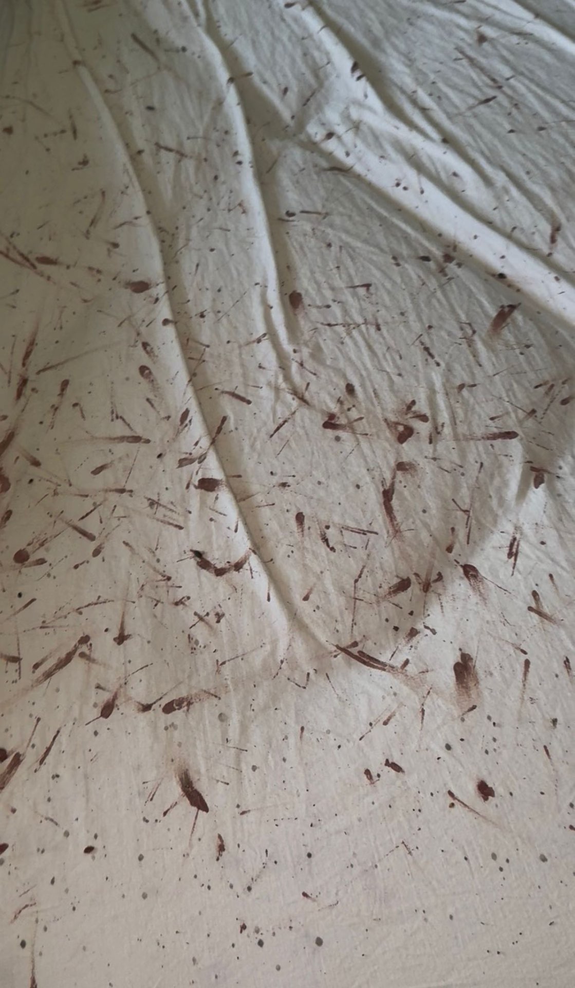 Blood stains and bedbug smears across a bedsheet
